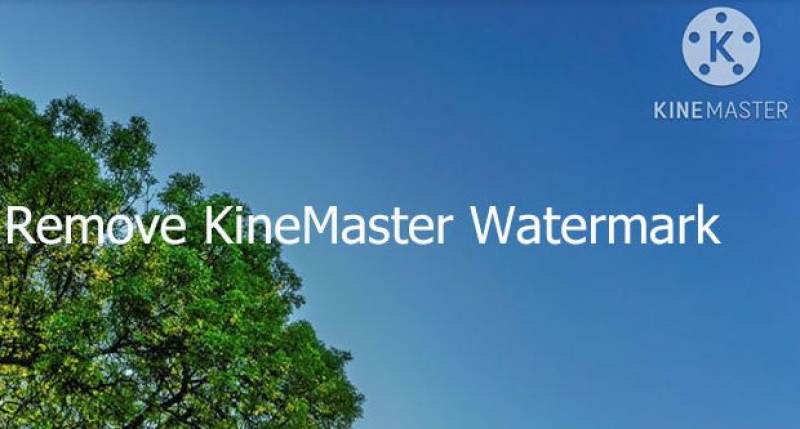 KineMaster Without Watermark